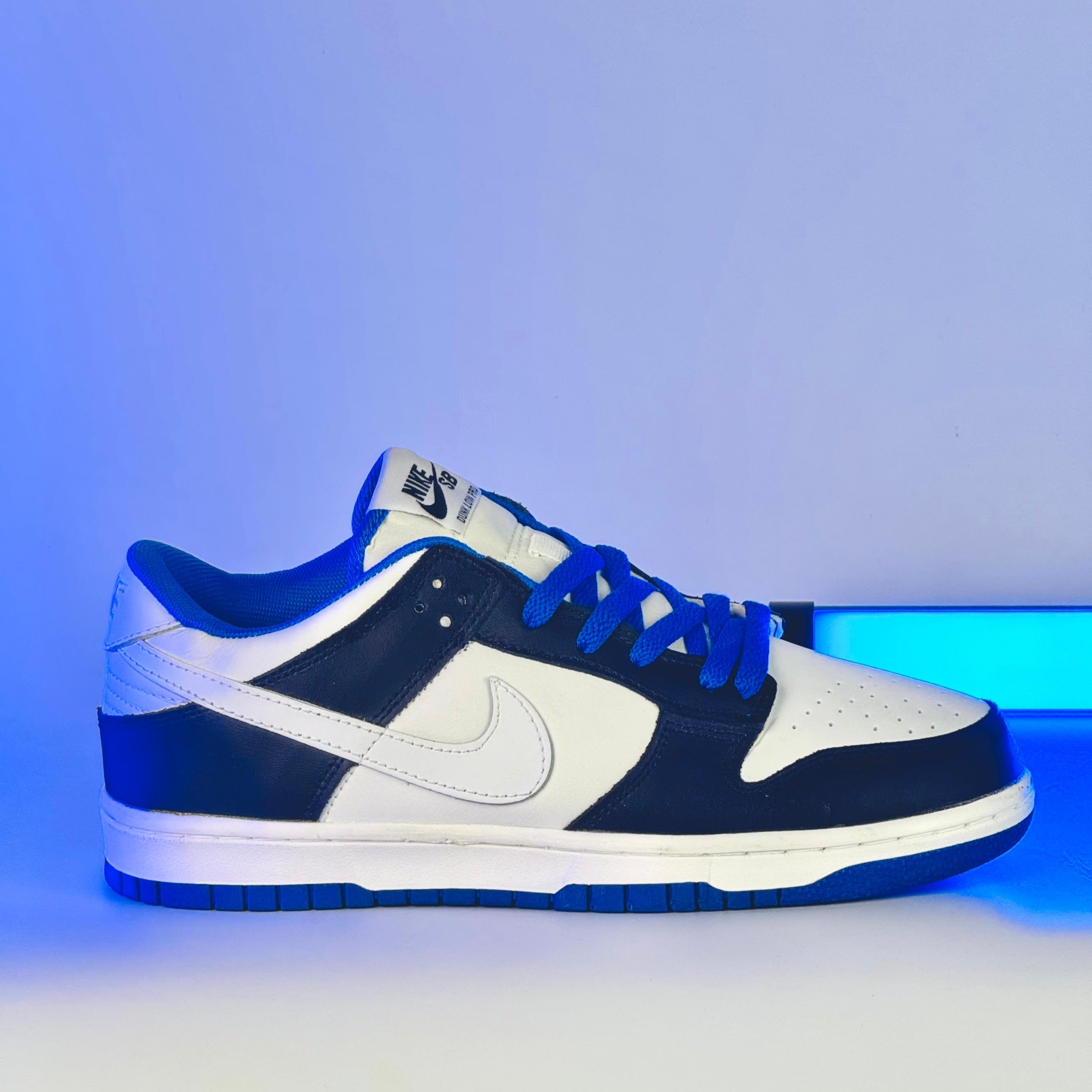 Nike SB dunk low pro blue