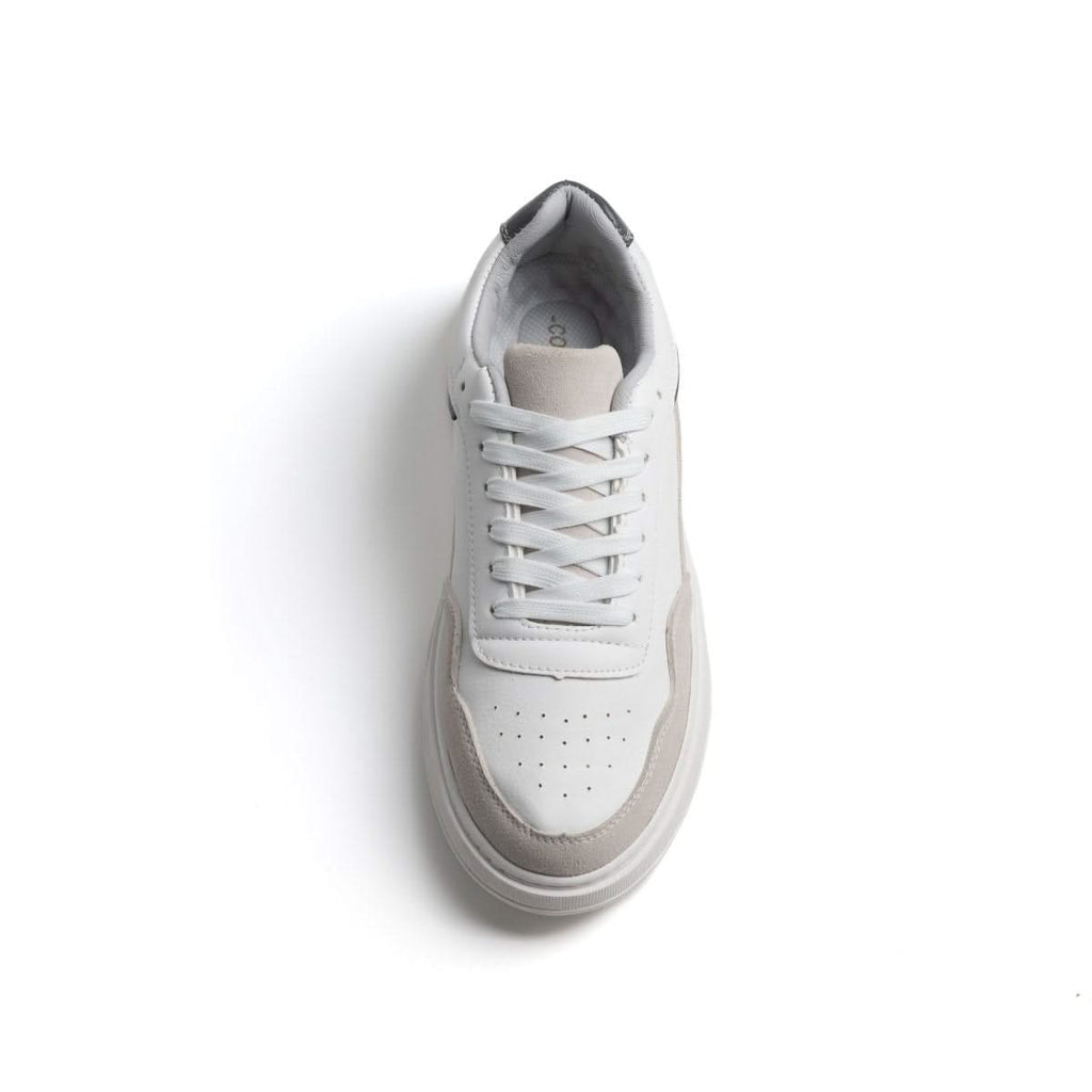 Cozy 45° — Édition Prestige